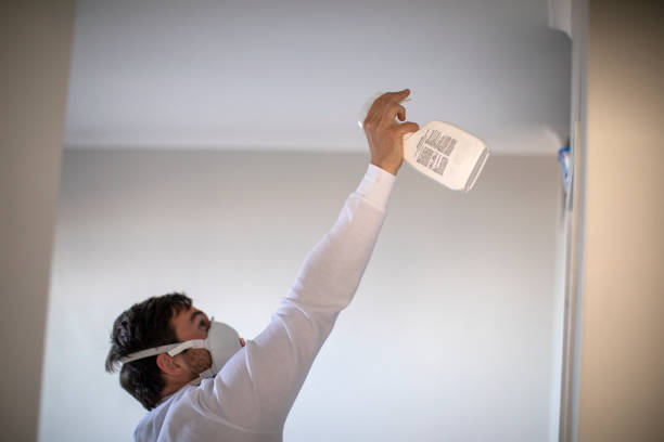 Best Residential Mold Remediation in Hernando, MS